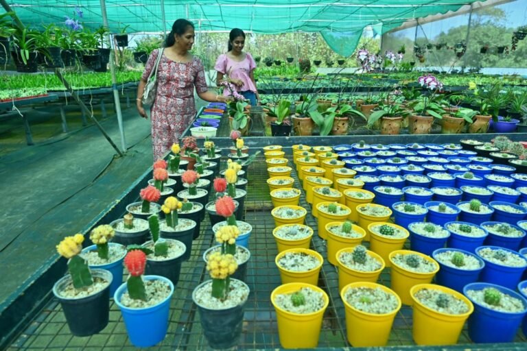 നാച്ചുറ 26' അഗ്രി ഹോര്‍ട്ടി ടൂറിസം ഫെസ്റ്റില്‍ ശ്രദ്ധേയമായി വിവിധയിനം ഓര്‍ക്കിഡുകള്‍, Nelliyampathy news Nelliyampathy latest news Nelliyampathy news today നെല്ലിയാമ്പതി വാർത്ത, Nelliampathy news Nelliyampathy Palakkad news Nelliyampathy today news, Nelliyampathy Kerala news Latest news in Nelliyampathy Nelliyampathy hill station news Nelliyampathy breaking news Nelliyampathy local news News from Nelliyampathy Nelliyampathy Palakkad latest news, Nelliyampathy news live Nelliyampathy news Malayalam Nelliyampathy wildlife news Nelliyampathy leopard news Nelliyampathy elephant news Nelliyampathy accident news Nelliyampathy tourism news Nelliyampathy plastic ban news Nelliyampathy tribal news Nelliyampathy weather news, Latest Nelliyampathy news today Nelliyampathy news headlines today What happened in Nelliyampathy today Nelliyampathy leopard sighting news Nelliyampathy Chillikomban elephant news Nelliyampathy orange farm news Nelliyampathy tourist restriction news Nelliyampathy green destination plastic free Nelliyampathy waterfall accident news Nelliyampathy new plant species discovery, നെല്ലിയാമ്പതി വാർത്തകൾ നെല്ലിയാമ്പതി ലേറ്റസ്റ്റ് ന്യൂസ് നെല്ലിയാമ്പതി ഇന്നത്തെ വാർത്ത നെല്ലിയാമ്പതി ബ്രേക്കിങ് ന്യൂസ് നെല്ലിയാമ്പതി പുലി വാർത്ത (leopard) നെല്ലിയാമ്പതി കാട്ടാന വാർത്ത (elephant) നെല്ലിയാമ്പതി സഞ്ചാരി വാർത്ത നെല്ലിയാമ്പതി പ്ലാസ്റ്റിക് നിരോധനം,