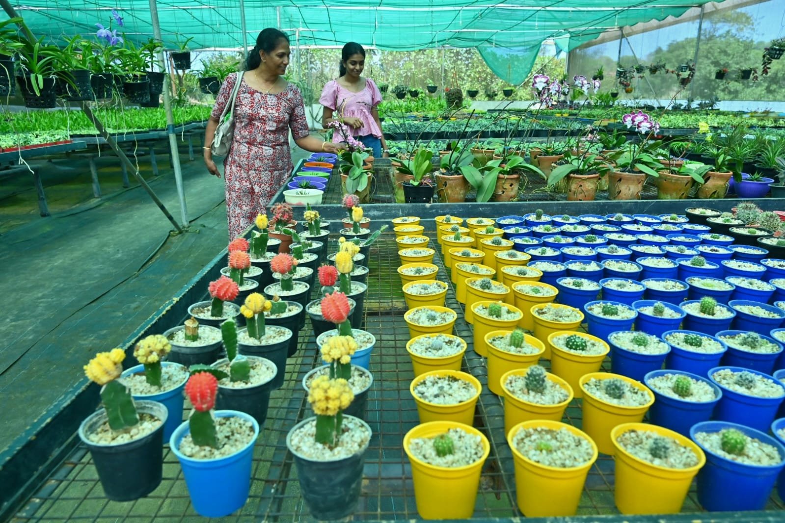 നാച്ചുറ 26' അഗ്രി ഹോര്‍ട്ടി ടൂറിസം ഫെസ്റ്റില്‍ ശ്രദ്ധേയമായി വിവിധയിനം ഓര്‍ക്കിഡുകള്‍, Nelliyampathy news Nelliyampathy latest news Nelliyampathy news today നെല്ലിയാമ്പതി വാർത്ത, Nelliampathy news Nelliyampathy Palakkad news Nelliyampathy today news, Nelliyampathy Kerala news Latest news in Nelliyampathy Nelliyampathy hill station news Nelliyampathy breaking news Nelliyampathy local news News from Nelliyampathy Nelliyampathy Palakkad latest news, Nelliyampathy news live Nelliyampathy news Malayalam Nelliyampathy wildlife news Nelliyampathy leopard news Nelliyampathy elephant news Nelliyampathy accident news Nelliyampathy tourism news Nelliyampathy plastic ban news Nelliyampathy tribal news Nelliyampathy weather news, Latest Nelliyampathy news today Nelliyampathy news headlines today What happened in Nelliyampathy today Nelliyampathy leopard sighting news Nelliyampathy Chillikomban elephant news Nelliyampathy orange farm news Nelliyampathy tourist restriction news Nelliyampathy green destination plastic free Nelliyampathy waterfall accident news Nelliyampathy new plant species discovery, നെല്ലിയാമ്പതി വാർത്തകൾ നെല്ലിയാമ്പതി ലേറ്റസ്റ്റ് ന്യൂസ് നെല്ലിയാമ്പതി ഇന്നത്തെ വാർത്ത നെല്ലിയാമ്പതി ബ്രേക്കിങ് ന്യൂസ് നെല്ലിയാമ്പതി പുലി വാർത്ത (leopard) നെല്ലിയാമ്പതി കാട്ടാന വാർത്ത (elephant) നെല്ലിയാമ്പതി സഞ്ചാരി വാർത്ത നെല്ലിയാമ്പതി പ്ലാസ്റ്റിക് നിരോധനം,